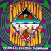 Psychedelic Mind Trip, Vol. 2: Another Flashback