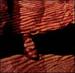 Red Dust & Spanish Lace