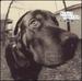 Dog Eared Dream [Bonus Track]