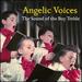 Angelic Voices: The Sound of the Boy Treble