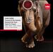 Saint-Sa�ns: Carnival of the Animals; Septet for Trumpet