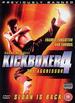 Kickboxer 4: The Aggressor