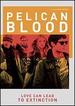 Pelican Blood