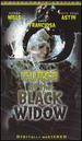 Curse of the Black Widow