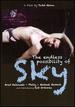 The Endless Possibility of Sky