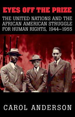The African American Struggle During The United