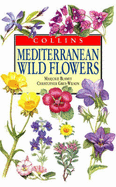 Mediterranean wild flowers