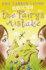 The Fairy's Mistake