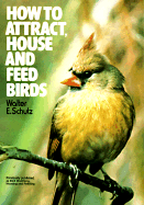 how to attract feed and house birds photo