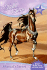 Shamal's Secret