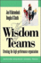 Wisdom of Teams: European Version: Creating the High Performance Organisation