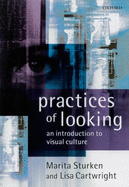 practices of looking an introduction to visual culture