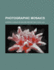 Photographic Mosaics