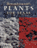 Howard Garrett's Plants for Texas