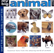 my big animal world book