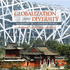 Globalization and Diversity: Geography of a Changing World