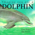 Imagine You are a Dolphin
