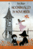 Moominvalley in November