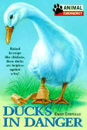 Ducks in Danger