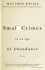 Small Crimes in an Age of Abundance