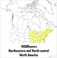 A Field Guide to Wildflowers: Northeastern and North-Central North America