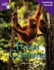 Fantastic Forest Purple Level Non-Fiction: Forest Creatures Teaching Version