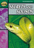 Secrets and Sounds Reader: Stage 5 Set B