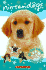 Do You Know Your Dog?: A Breed-By-Breed Guide