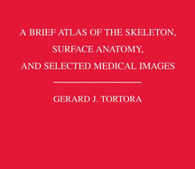 A Brief Atlas of the Skeleton Surface Anatomy, and Selected Medical Images