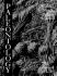 Paleontology: The Record of Life
