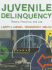 Juvenile Delinquency: Theory, Practice, and Law