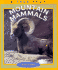 Mountain Mammals
