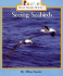 Seeing Seabirds