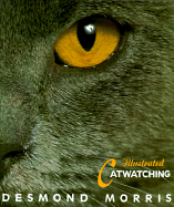 Illustrated catwatching