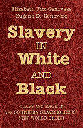 slavery in white and black class and race in the southern slaveholders new