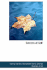 Success at Golf
