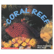 Coral Reef