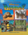 What Is a Biome?