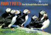 Project Puffin: How We Brought Puffins Back to Egg Rock