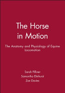 The Horse in Motion
