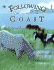 Following the Coast