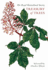The Royal Horticultural Society Treasury of Trees: Writers and Artists in the Garden