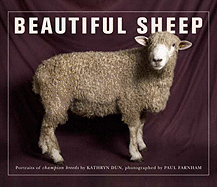 Beautiful Sheep