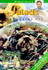 Michael Barry's Salad Recipes
