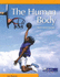 The Human Body: From Head to Toe