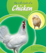 Life Cycle of a Chicken