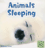 Animals Sleeping