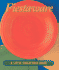 Fiesta Ware: A Little Collectible Book