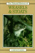Stoat Natural History | RM. Stoat Natural History | RM.