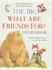 The Big What Are Friends For? Storybook